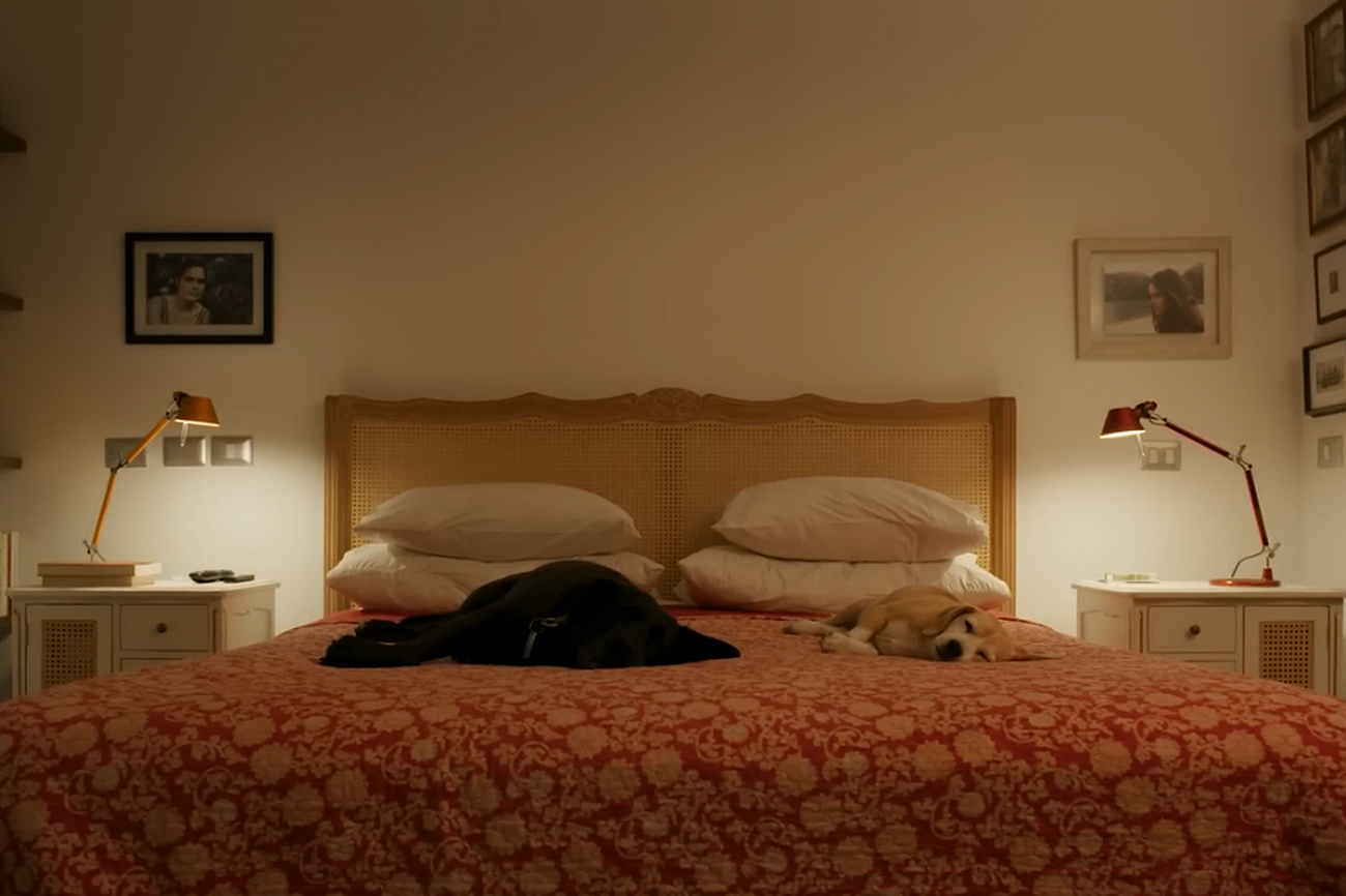 La casa (2): Intento de contener un lugar asediado