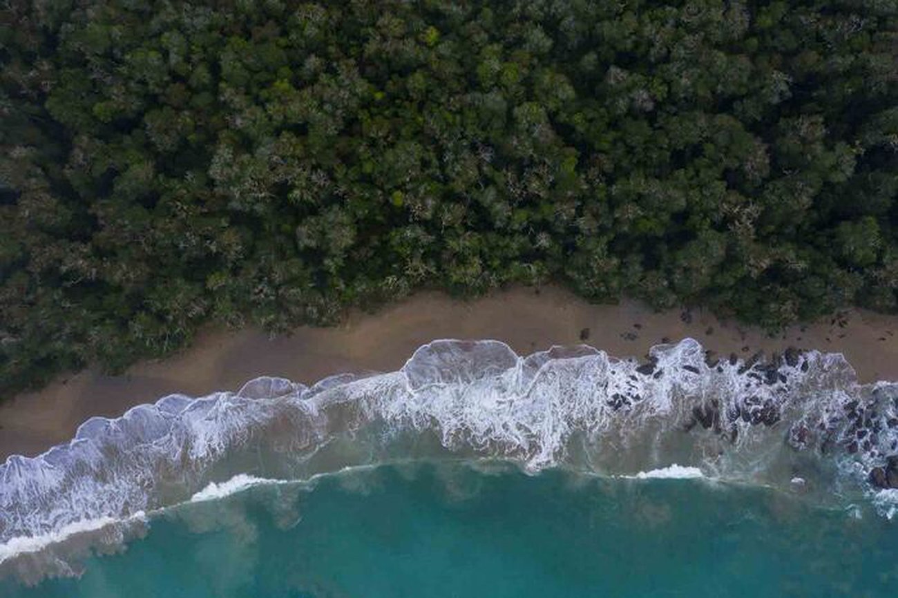 Informe Festival Santiago Wild: El documental como modo de relación con el medioambiente