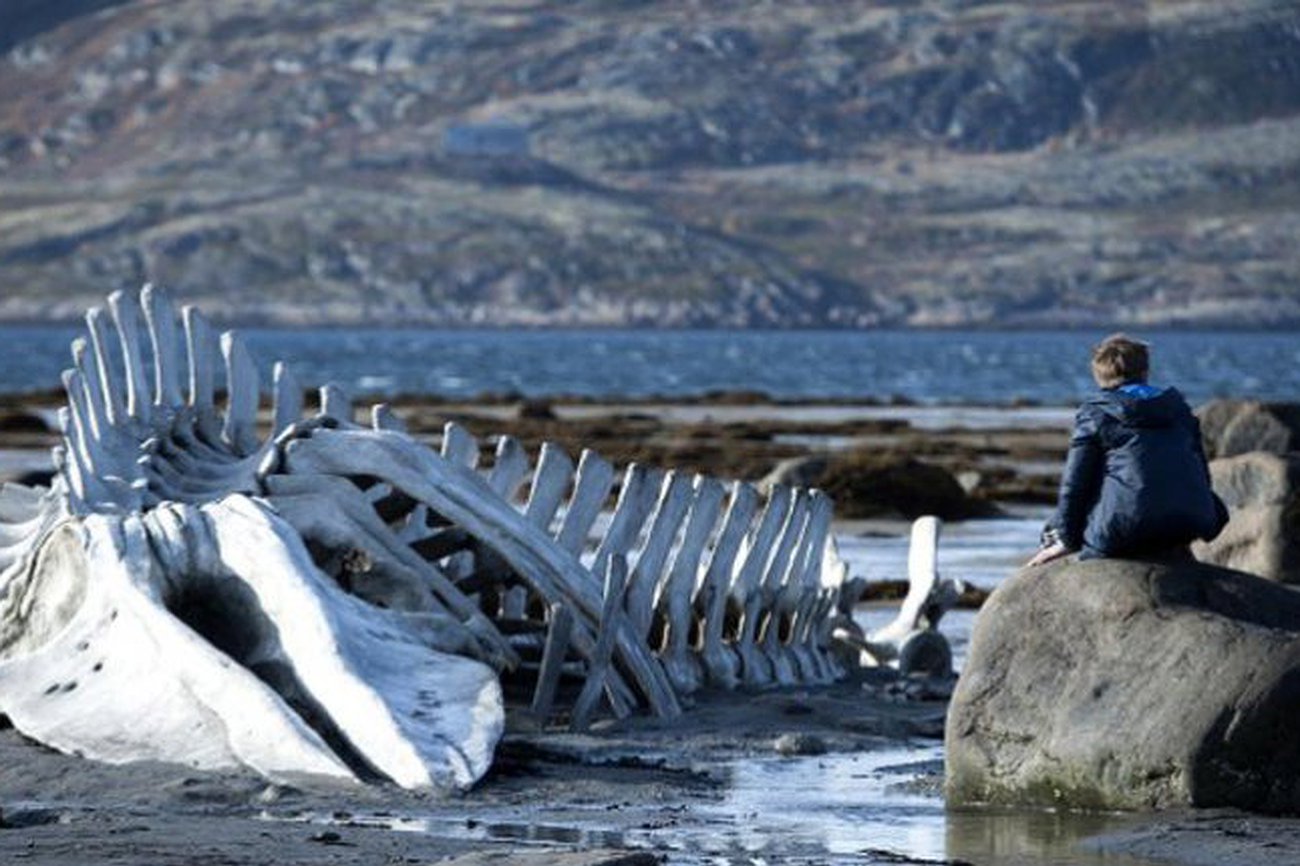 Leviathan (Andréi Zviáguintsev, 2014)