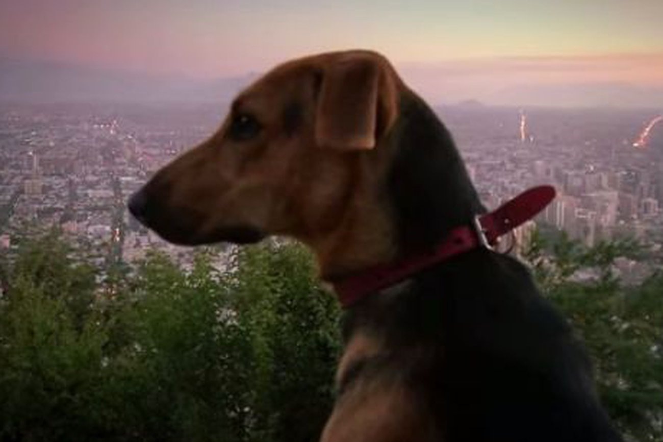 Perla (Sergio Castilla, 2015)