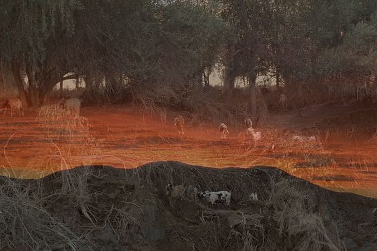 Vivir allí (3): Oasis en tránsito