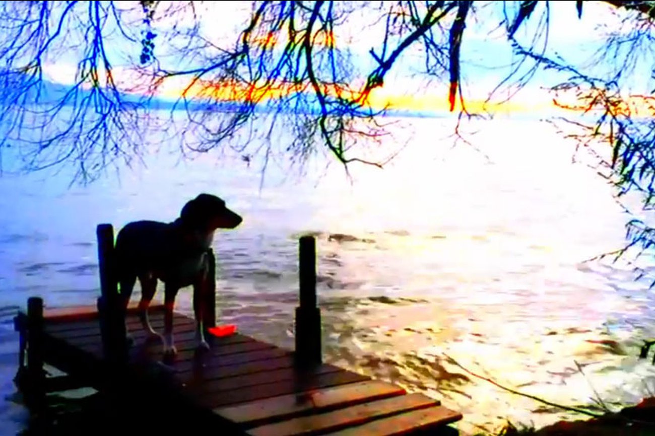 Adiós al lenguaje (3): El perro negro