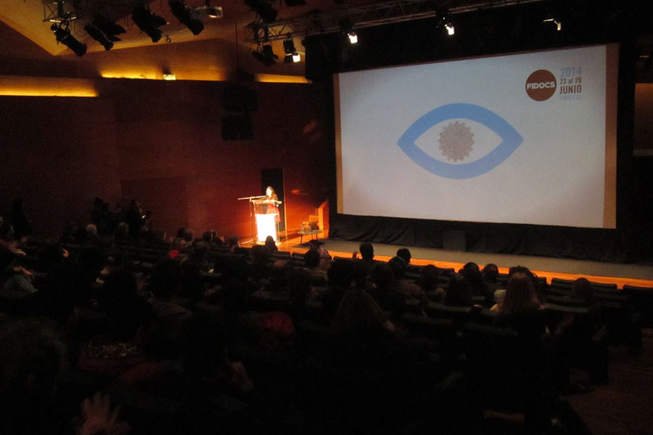 Informe Fidocs 2014 (1): Imágenes que importan