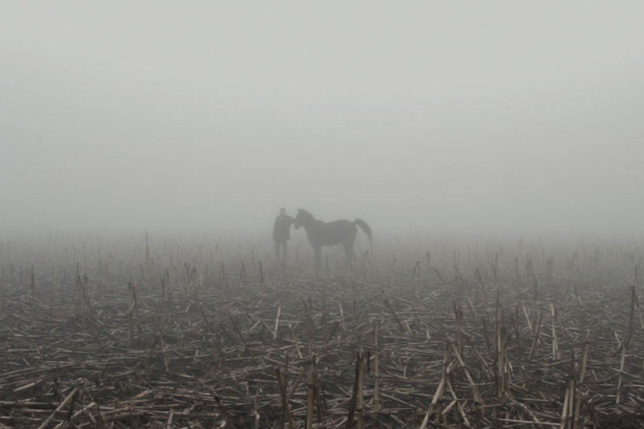 Partir to live (Domingo García Huidobro, 2012)