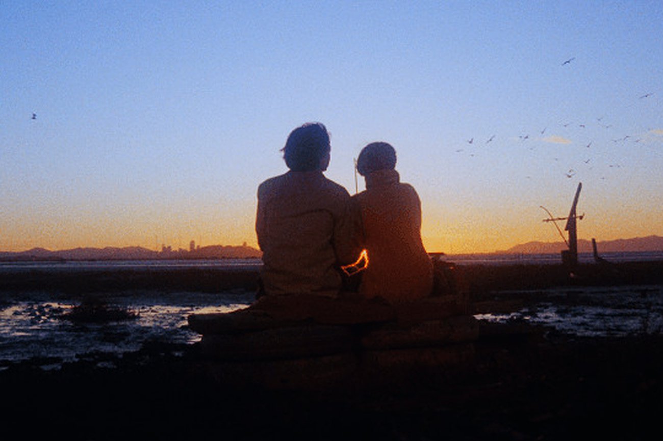 Espectador Errante (9): Harold and Maude: Cat Stevens y el paso a la adultez