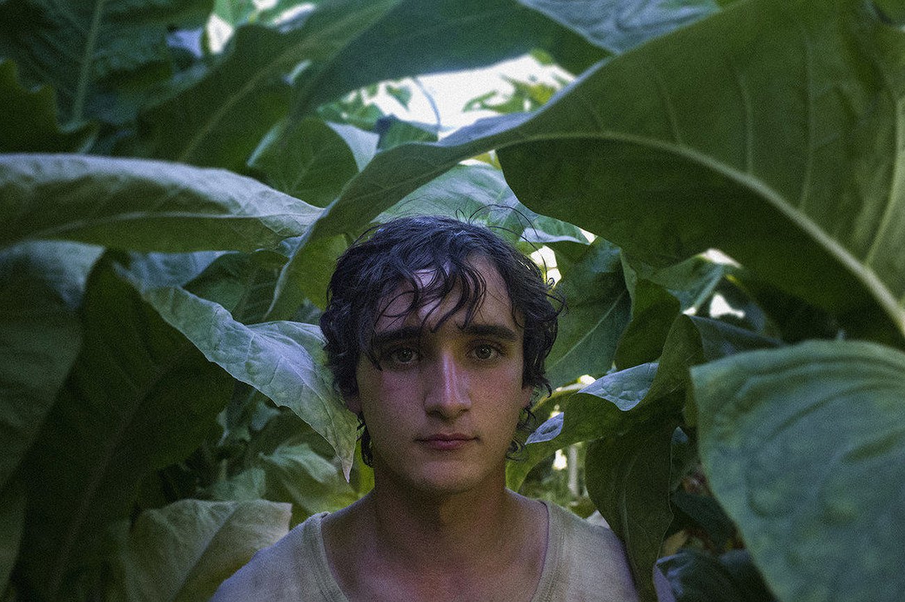 Happy as Lazzaro: Miedo al lobo